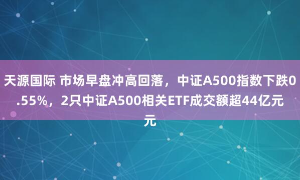 天源国际 市场早盘冲高回落，中证A500指数下跌0.55%，2只中证A500相关ETF成交额超44亿元