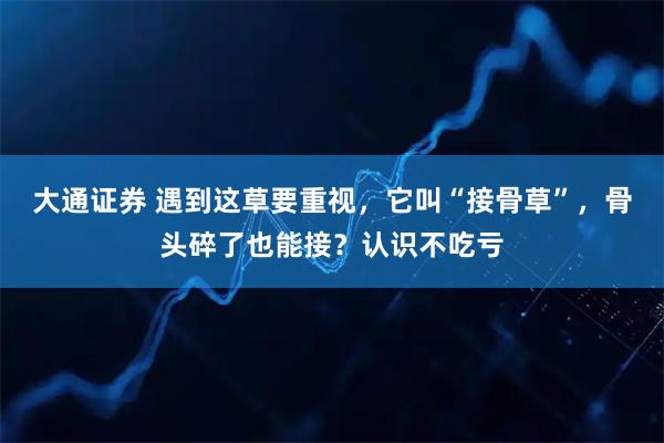 大通证券 遇到这草要重视，它叫“接骨草”，骨头碎了也能接？认识不吃亏