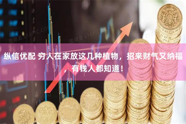 纵信优配 穷人在家放这几种植物，招来财气又纳福，有钱人都知道！